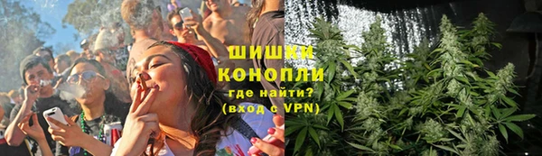 крисы Балахна