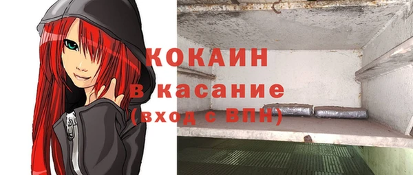 крисы Балахна